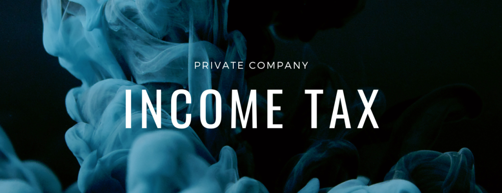 private company tax returns